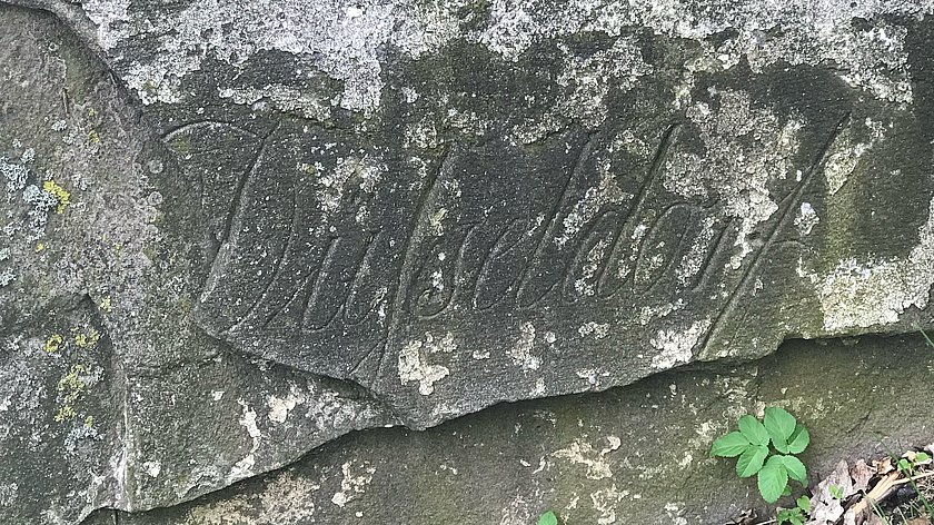 Ein alter Grenzstein
