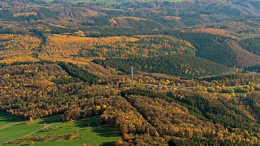 „Für den Wald der Zukunft setzen wir auf bunte Vielfalt statt Monokultur“
