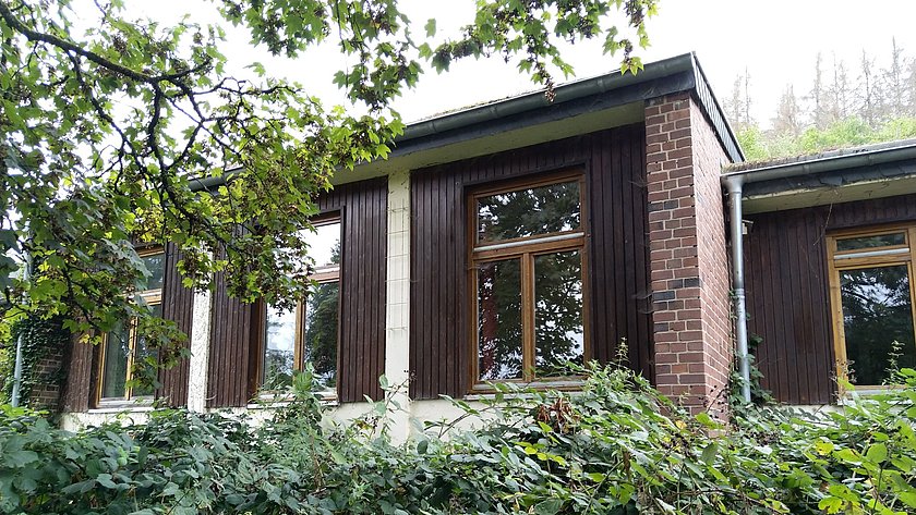 Umweltbildung im Grünen