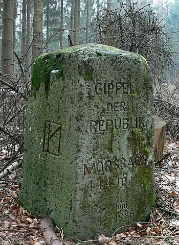 Stein