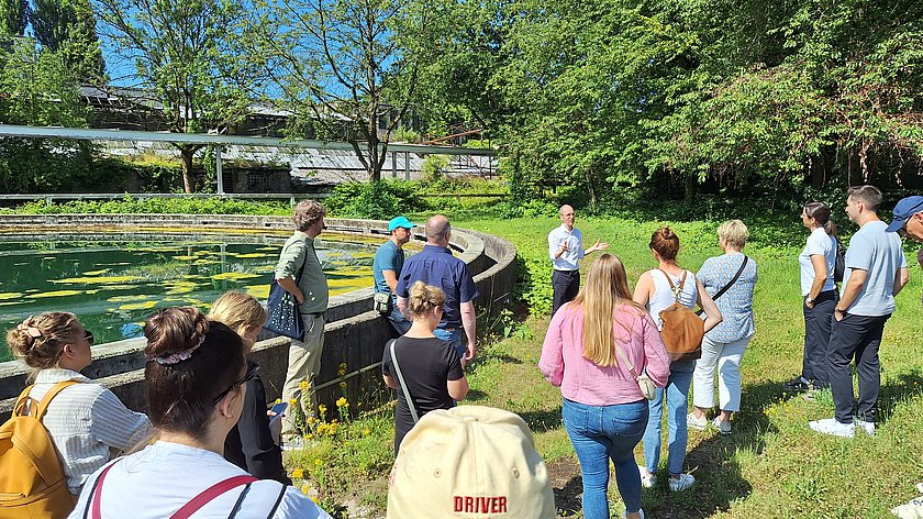 Die Gunst der Strunde