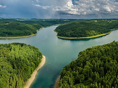 Talsperre und Wald
