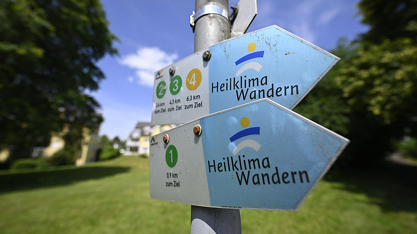 Aktiv im Grünen