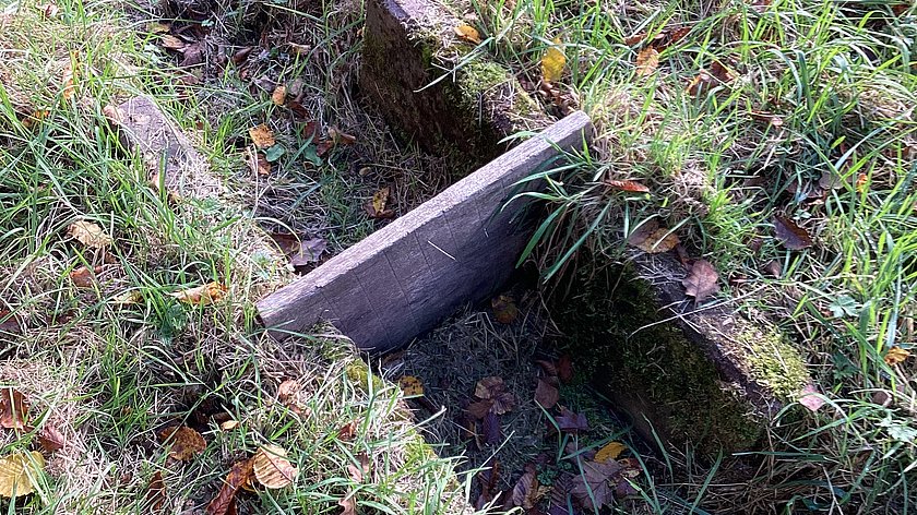 Wässerwiesen und Genossen