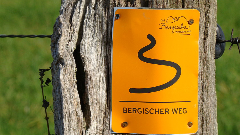 Gesunde Landschaft