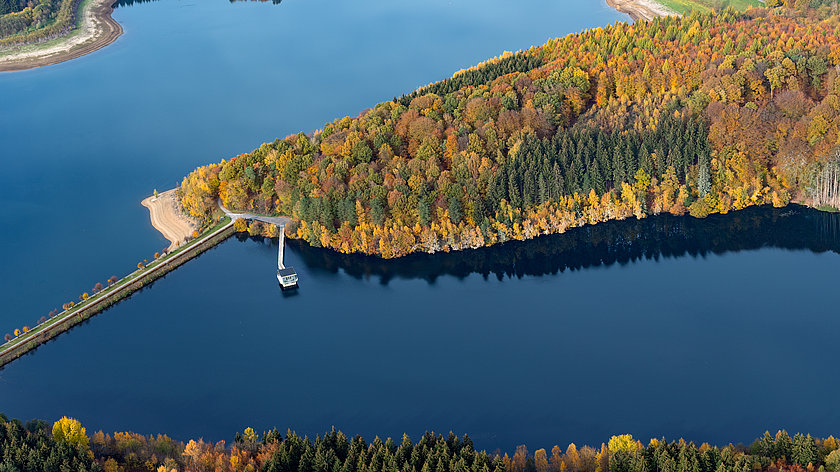 Bergische DNA