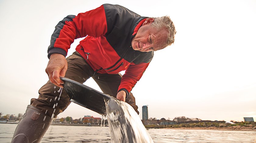 Schatz an der Dhünn