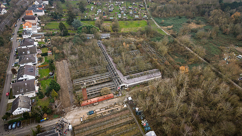 Zukunftsort in der Gärtnerei