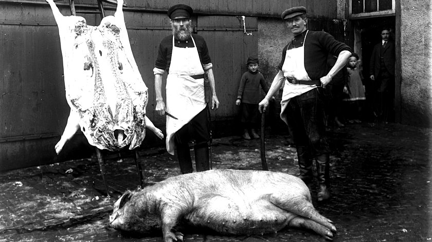 Männer und Schweine