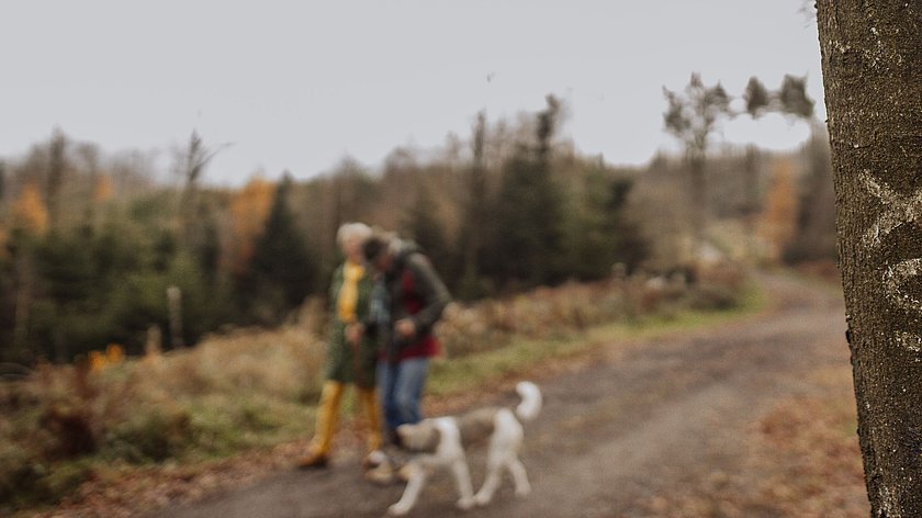 Grenzenloses Naturerlebnis