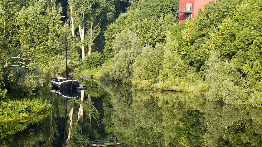 Fischbrüder an der Sieg