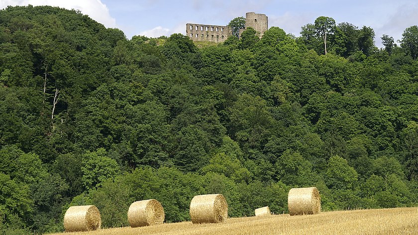 Auf die Burg