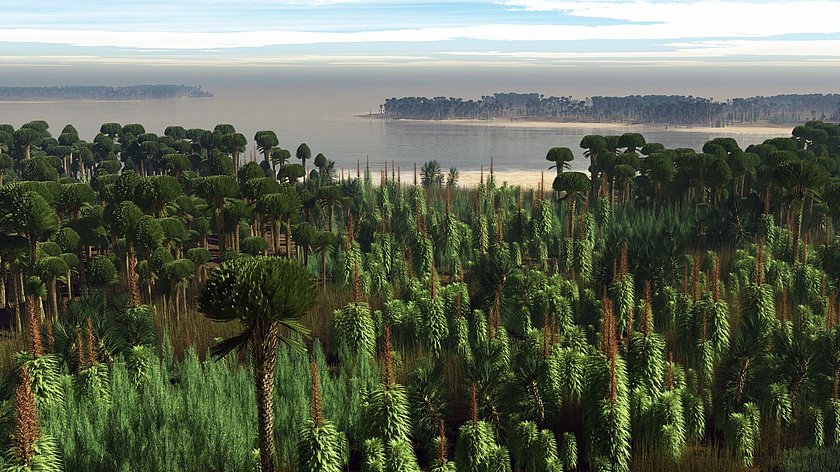 Ältester Wald der Welt