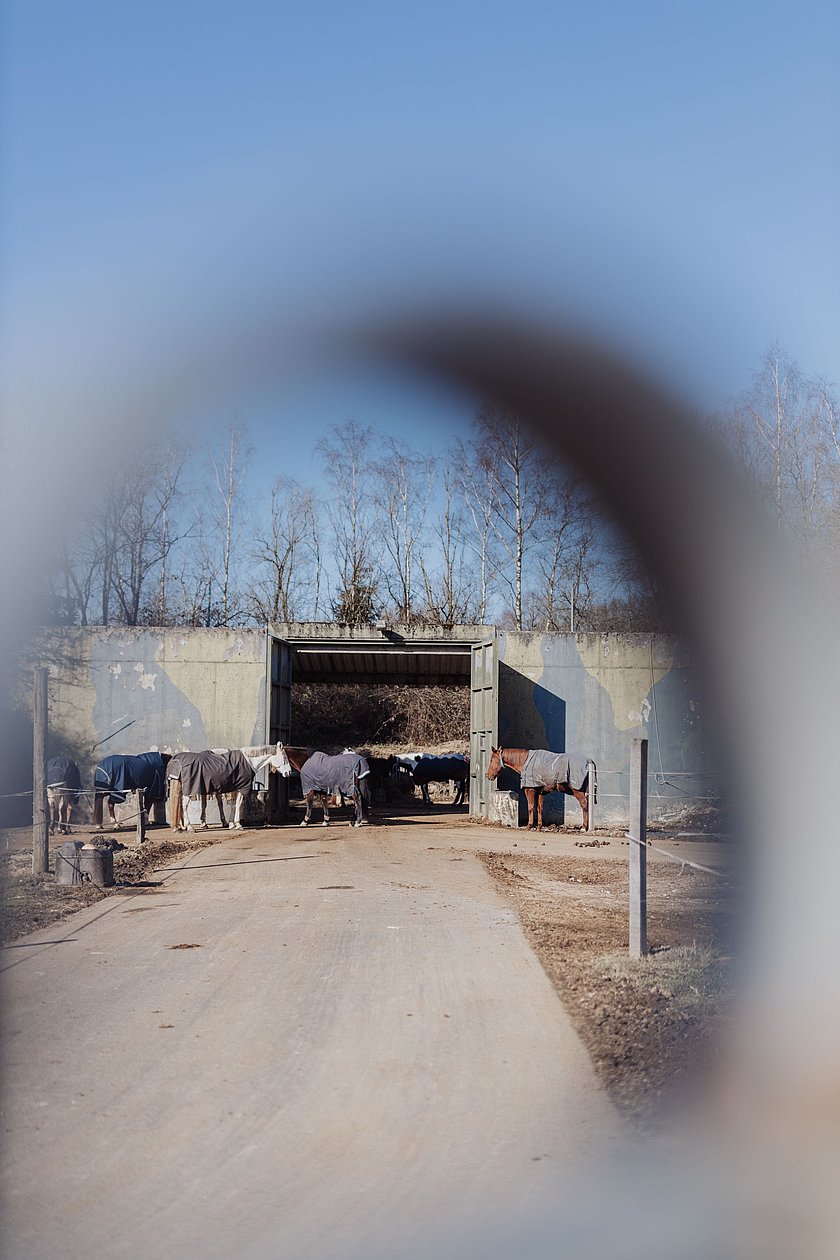 Von Raketen, Pferden und seltenen Pflanzen